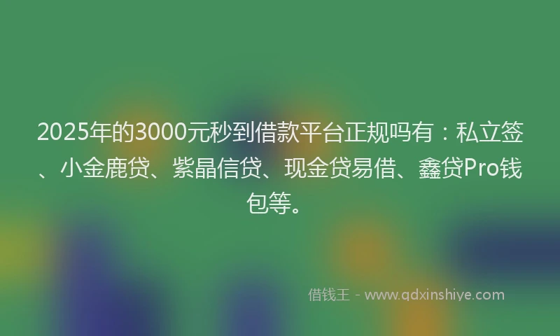 2025年的3000元秒到借款平台正规吗有：私立签、小金鹿贷、紫晶信贷、现金贷易借、鑫贷Pro钱包等。