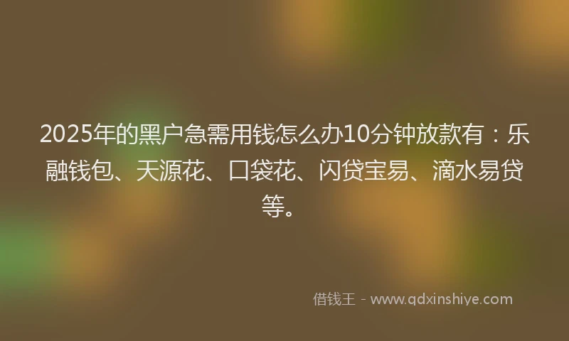 2025年的黑户急需用钱怎么办10分钟放款有：乐融钱包、天源花、口袋花、闪贷宝易、滴水易贷等。