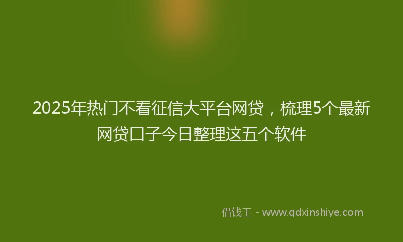 2025年热门不看征信大平台网贷，梳理5个最新网贷口子今日整理这五个软件