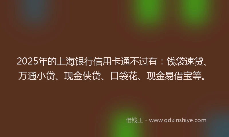 2025年的上海银行信用卡通不过有：钱袋速贷、万通小贷、现金侠贷、口袋花、现金易借宝等。