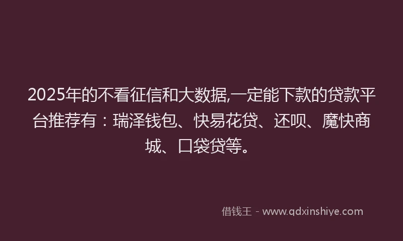2025年的不看征信和大数据,一定能下款的贷款平台推荐有：瑞泽钱包、快易花贷、还呗、魔快商城、口袋贷等。