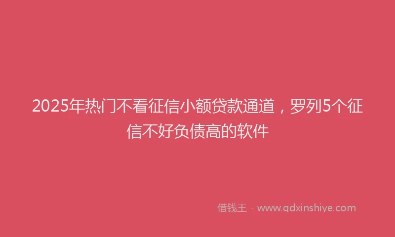 2025年热门不看征信小额贷款通道，罗列5个征信不好负债高的软件
