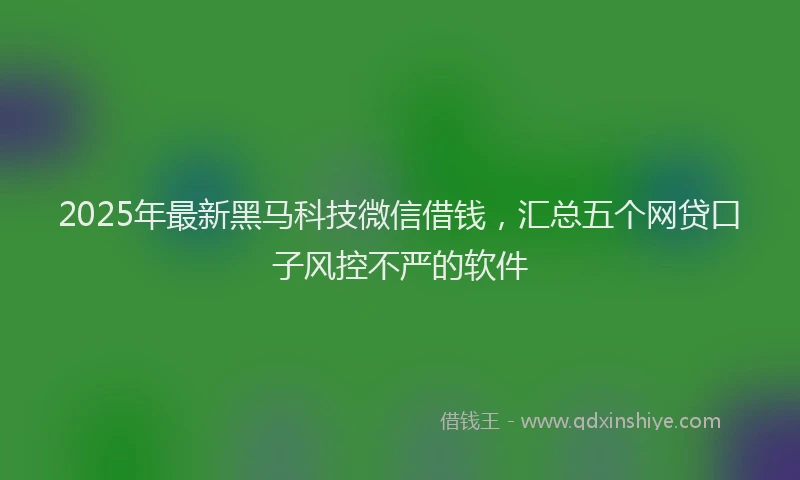 2025年最新黑马科技微信借钱，汇总五个网贷口子风控不严的软件