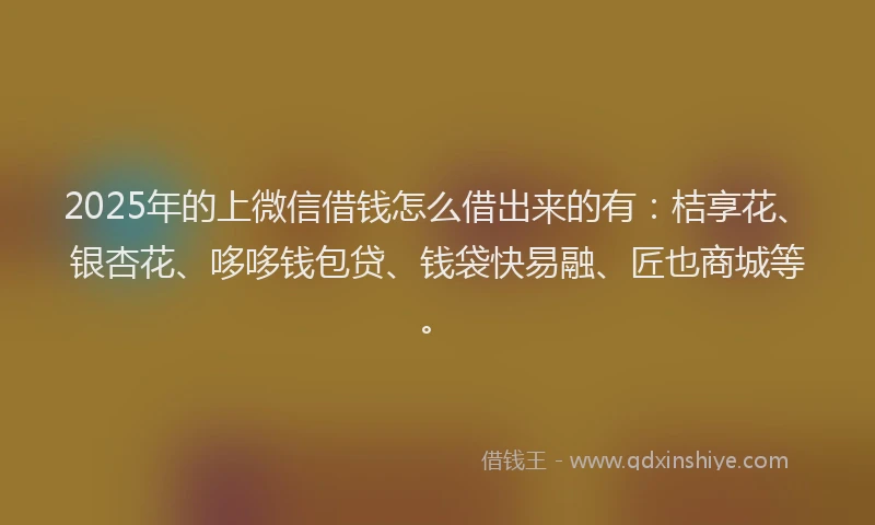 2025年的上微信借钱怎么借出来的有：桔享花、银杏花、哆哆钱包贷、钱袋快易融、匠也商城等。