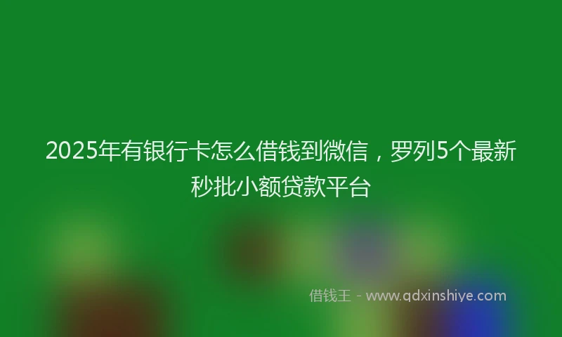 2025年有银行卡怎么借钱到微信，罗列5个最新秒批小额贷款平台