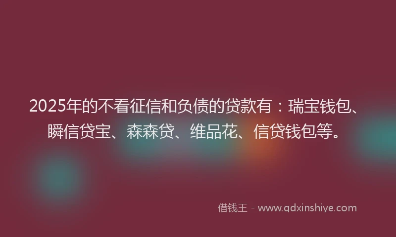 2025年的不看征信和负债的贷款有：瑞宝钱包、瞬信贷宝、森森贷、维品花、信贷钱包等。