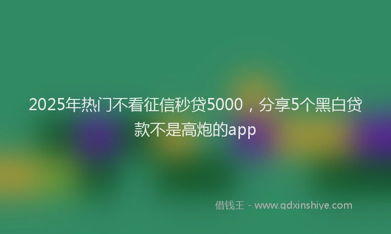 2025年热门不看征信秒贷5000，分享5个黑白贷款不是高炮的app