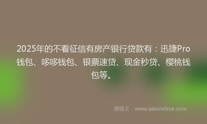 2025年的不看征信有房产银行贷款有：迅捷Pro钱包、哆哆钱包、银票速贷、现金秒贷、樱桃钱包等。