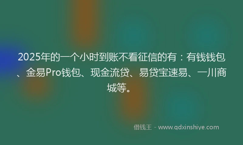 2025年的一个小时到账不看征信的有：有钱钱包、金易Pro钱包、现金流贷、易贷宝速易、一川商城等。