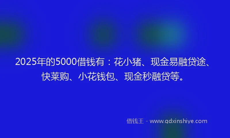 2025年的5000借钱有：花小猪、现金易融贷途、快莱购、小花钱包、现金秒融贷等。