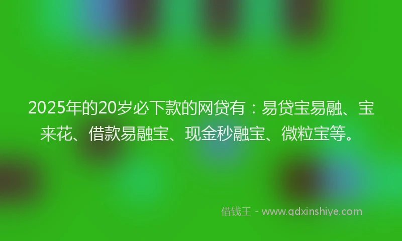 2025年的20岁必下款的网贷有：易贷宝易融、宝来花、借款易融宝、现金秒融宝、微粒宝等。