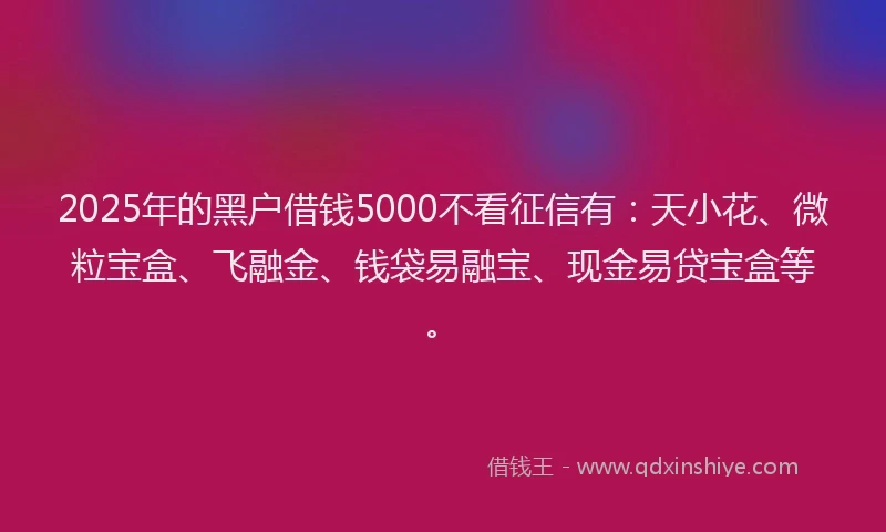 2025年的黑户借钱5000不看征信有：天小花、微粒宝盒、飞融金、钱袋易融宝、现金易贷宝盒等。