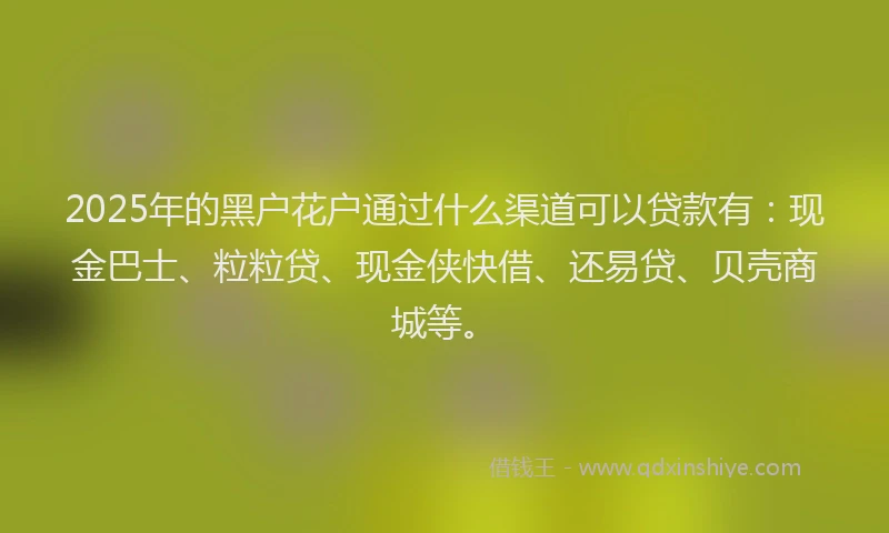 2025年的黑户花户通过什么渠道可以贷款有：现金巴士、粒粒贷、现金侠快借、还易贷、贝壳商城等。
