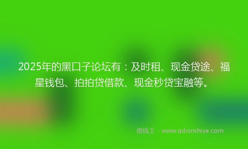 2025年的黑口子论坛有：及时租、现金贷途、福星钱包、拍拍贷借款、现金秒贷宝融等。