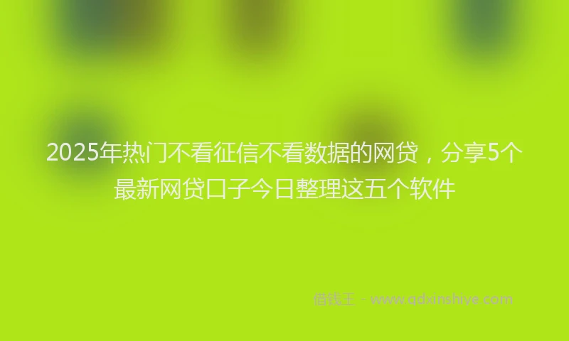 2025年热门不看征信不看数据的网贷，分享5个最新网贷口子今日整理这五个软件