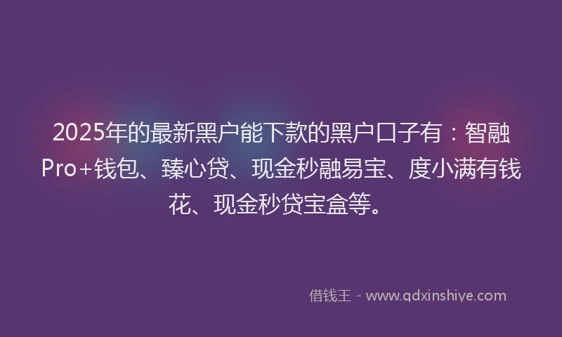 2025年的最新黑户能下款的黑户口子有：智融Pro+钱包、臻心贷、现金秒融易宝、度小满有钱花、现金秒贷宝盒等。