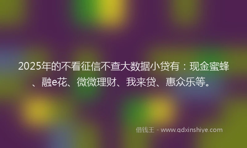 2025年的不看征信不查大数据小贷有：现金蜜蜂、融e花、微微理财、我来贷、惠众乐等。