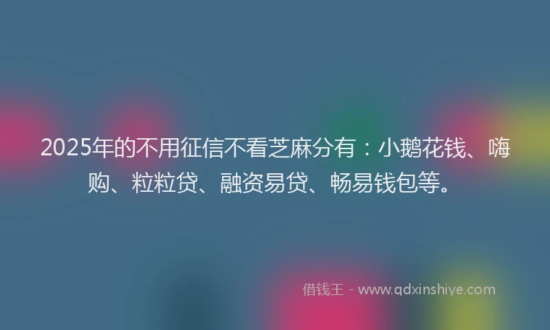 2025年的不用征信不看芝麻分有：小鹅花钱、嗨购、粒粒贷、融资易贷、畅易钱包等。