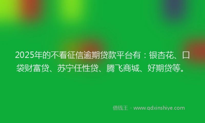 2025年的不看征信逾期贷款平台有：银杏花、口袋财富贷、苏宁任性贷、腾飞商城、好期贷等。