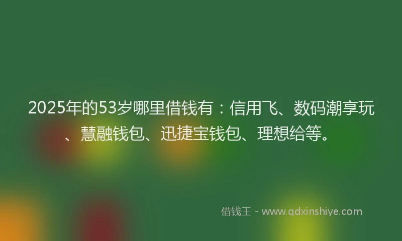 2025年的53岁哪里借钱有：信用飞、数码潮享玩、慧融钱包、迅捷宝钱包、理想给等。