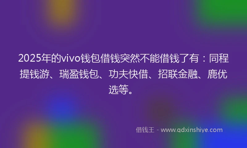 2025年的vivo钱包借钱突然不能借钱了有：同程提钱游、瑞盈钱包、功夫快借、招联金融、鹿优选等。