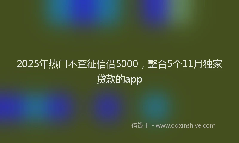 2025年热门不查征信借5000，整合5个11月独家贷款的app