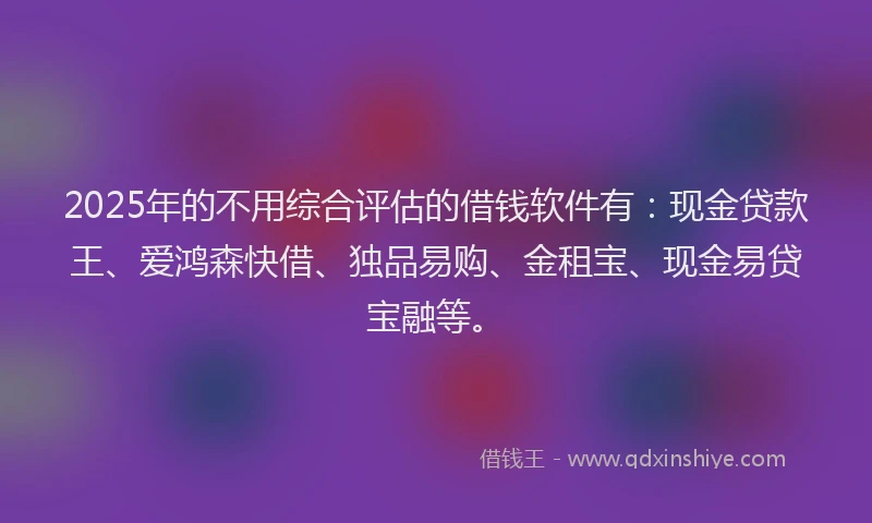 2025年的不用综合评估的借钱软件有：现金贷款王、爱鸿森快借、独品易购、金租宝、现金易贷宝融等。