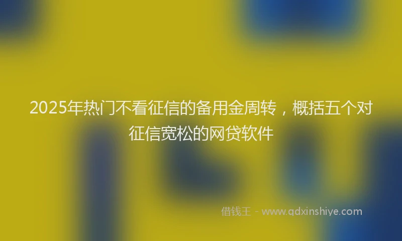 2025年热门不看征信的备用金周转，概括五个对征信宽松的网贷软件