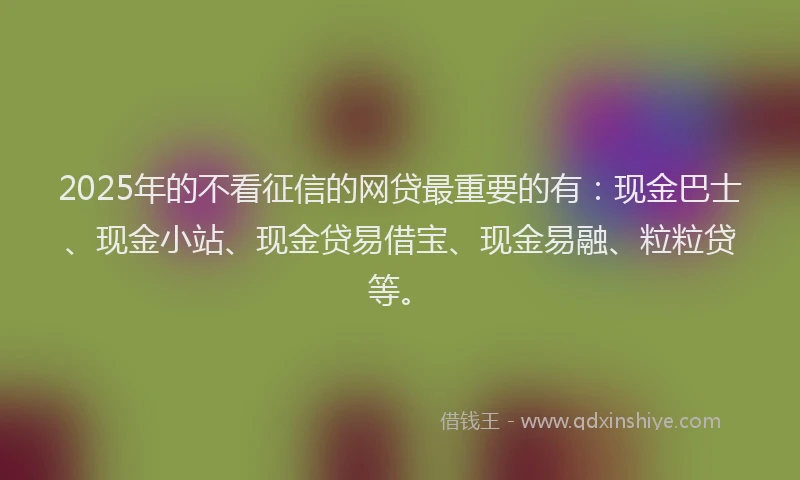 2025年的不看征信的网贷最重要的有：现金巴士、现金小站、现金贷易借宝、现金易融、粒粒贷等。