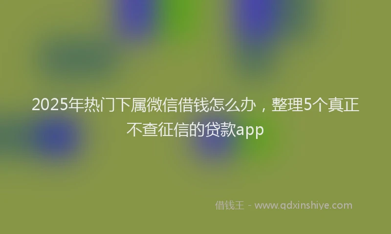 2025年热门下属微信借钱怎么办，整理5个真正不查征信的贷款app