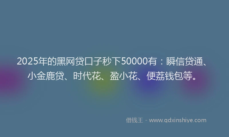 2025年的黑网贷口子秒下50000有：瞬信贷通、小金鹿贷、时代花、盈小花、便荔钱包等。
