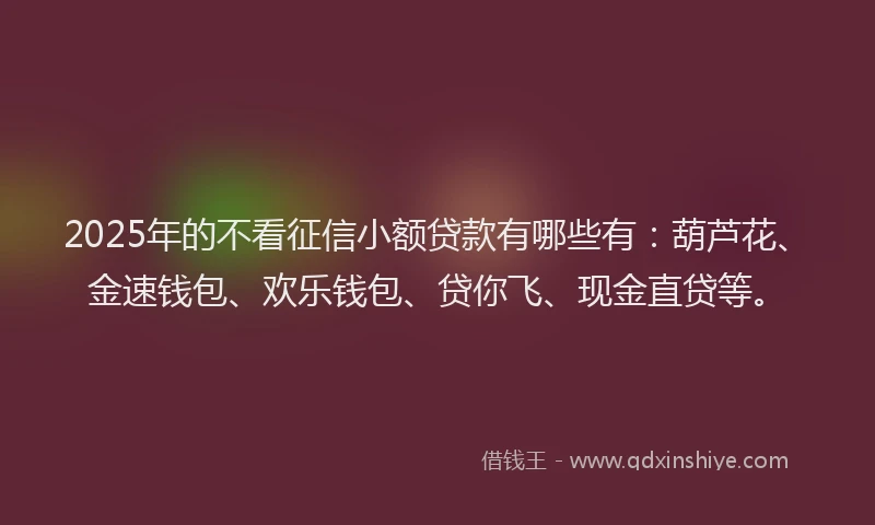 2025年的不看征信小额贷款有哪些有：葫芦花、金速钱包、欢乐钱包、贷你飞、现金直贷等。