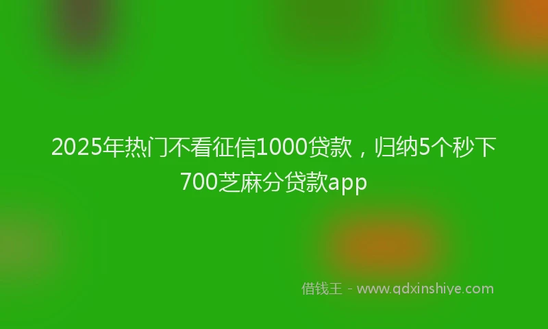 2025年热门不看征信1000贷款，归纳5个秒下700芝麻分贷款app