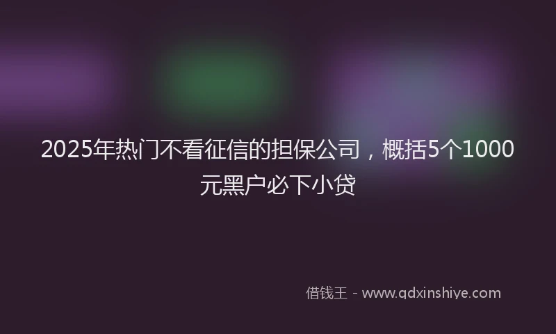 2025年热门不看征信的担保公司，概括5个1000元黑户必下小贷