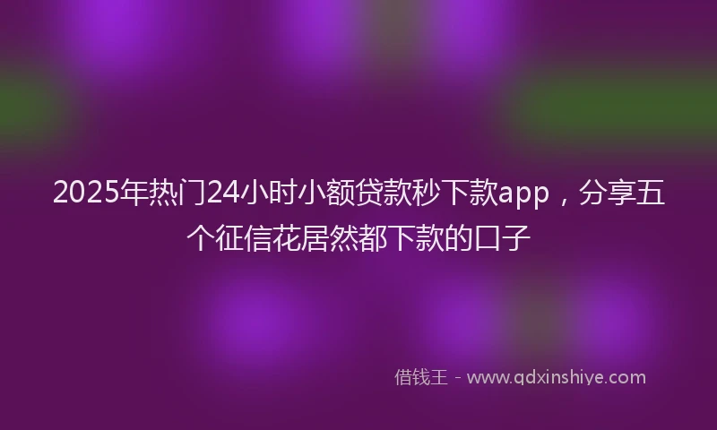 2025年热门24小时小额贷款秒下款app，分享五个征信花居然都下款的口子