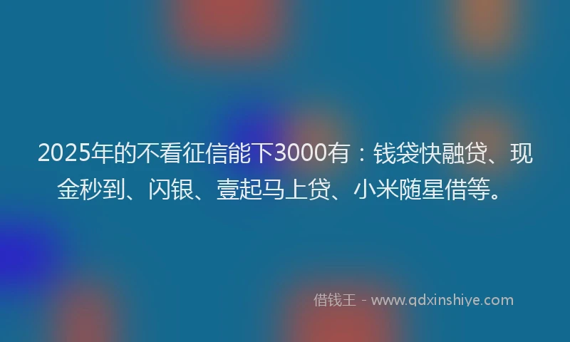 2025年的不看征信能下3000有:钱袋快融贷、现金秒到、闪银、壹起马上贷、小米随星借等。