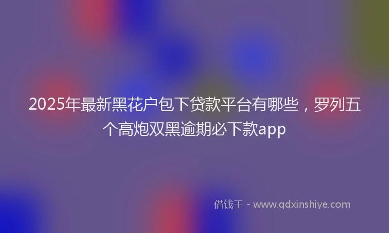 2025年最新黑花户包下贷款平台有哪些，罗列五个高炮双黑逾期必下款app