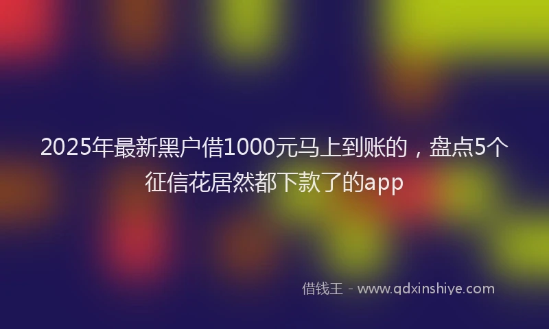 2025年最新黑户借1000元马上到账的，盘点5个征信花居然都下款了的app