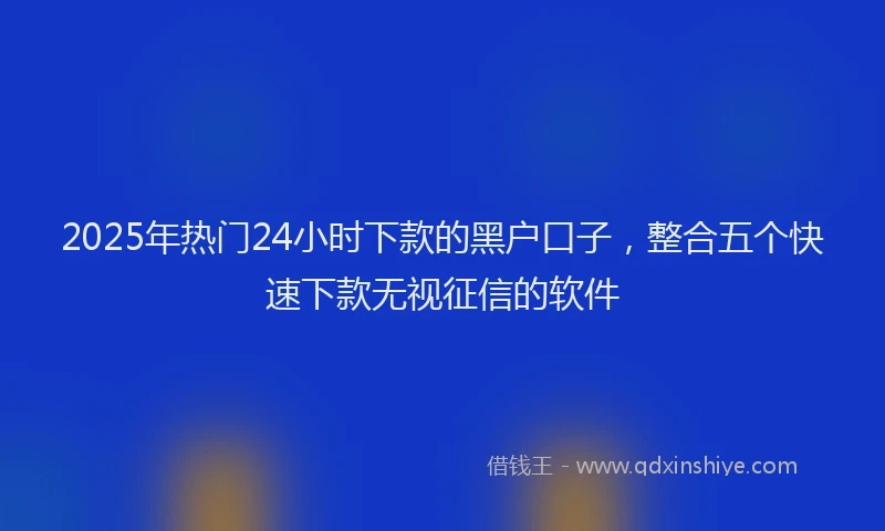 2025年热门24小时下款的黑户口子，整合五个快速下款无视征信的软件