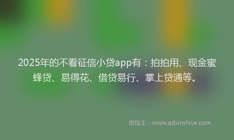 2025年的不看征信小贷app有：拍拍用、现金蜜蜂贷、易得花、借贷易行、掌上贷通等。