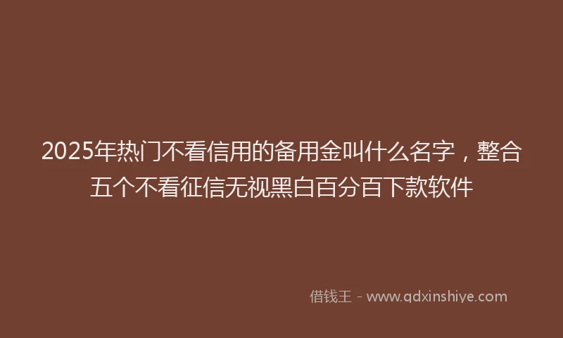 2025年热门不看信用的备用金叫什么名字，整合五个不看征信无视黑白百分百下款软件