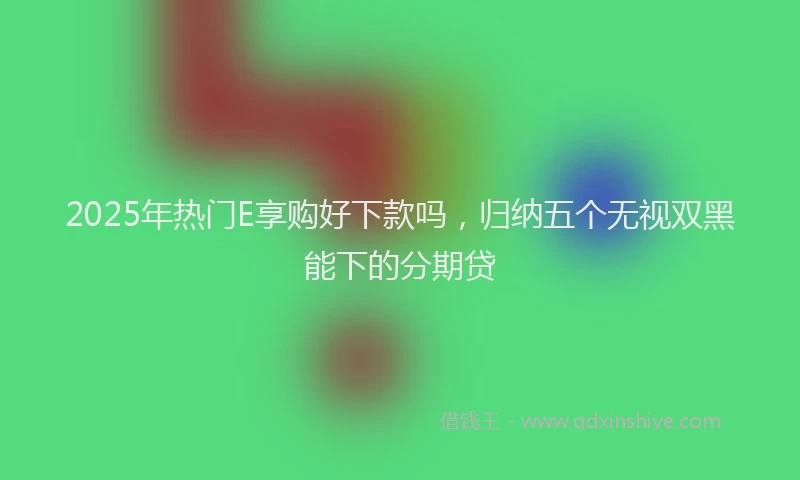 2025年热门E享购好下款吗，归纳五个无视双黑能下的分期贷