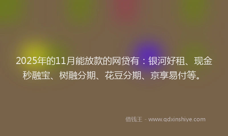 2025年的11月能放款的网贷有：银河好租、现金秒融宝、树融分期、花豆分期、京享易付等。