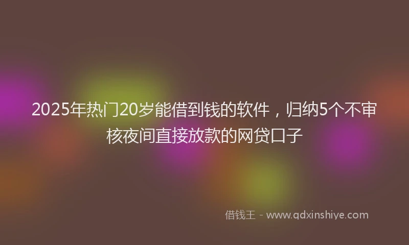 2025年热门20岁能借到钱的软件，归纳5个不审核夜间直接放款的网贷口子