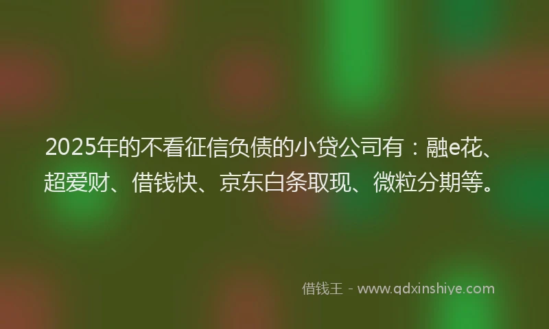 2025年的不看征信负债的小贷公司有：融e花、超爱财、借钱快、京东白条取现、微粒分期等。