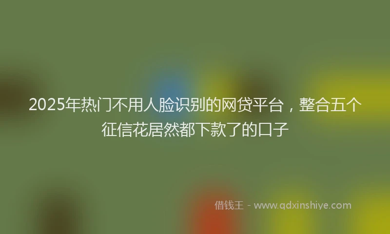 2025年热门不用人脸识别的网贷平台，整合五个征信花居然都下款了的口子