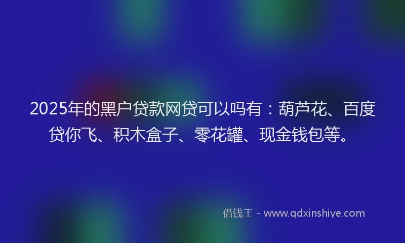 2025年的黑户贷款网贷可以吗有：葫芦花、百度贷你飞、积木盒子、零花罐、现金钱包等。