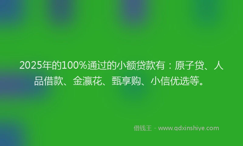 2025年的100%通过的小额贷款有：原子贷、人品借款、金瀛花、甄享购、小信优选等。