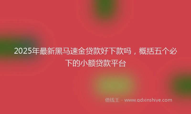 2025年最新黑马速金贷款好下款吗，概括五个必下的小额贷款平台