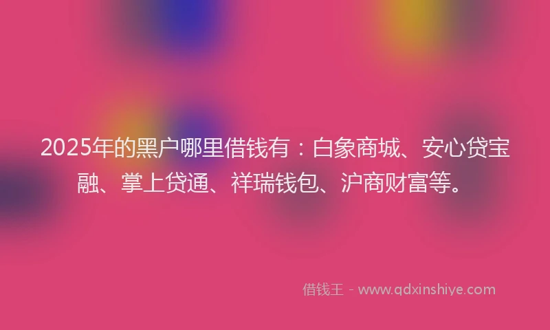 2025年的黑户哪里借钱有：白象商城、安心贷宝融、掌上贷通、祥瑞钱包、沪商财富等。